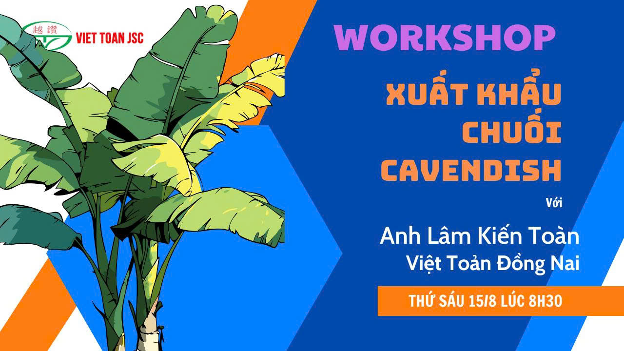 XUẤT KHẨU CHUỐI CAVENDISH